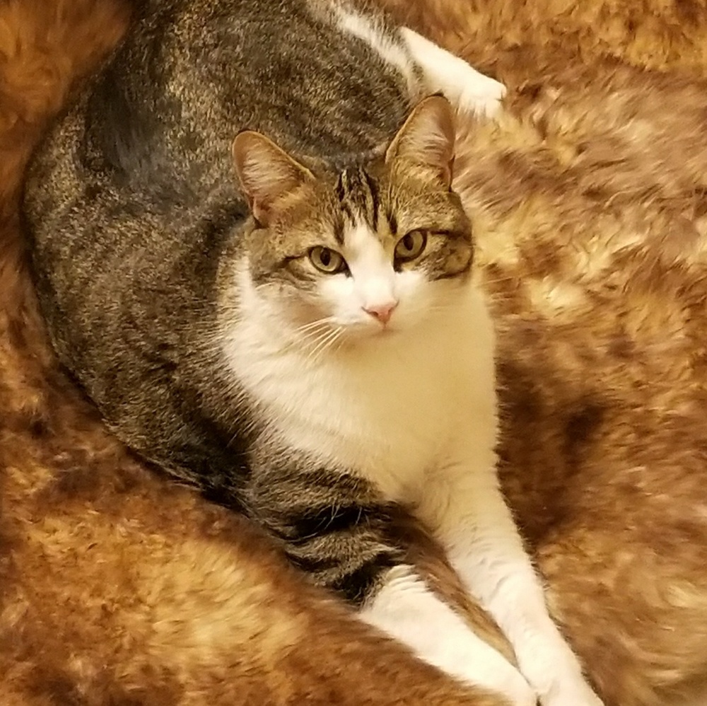 Meet your Posher, Beth